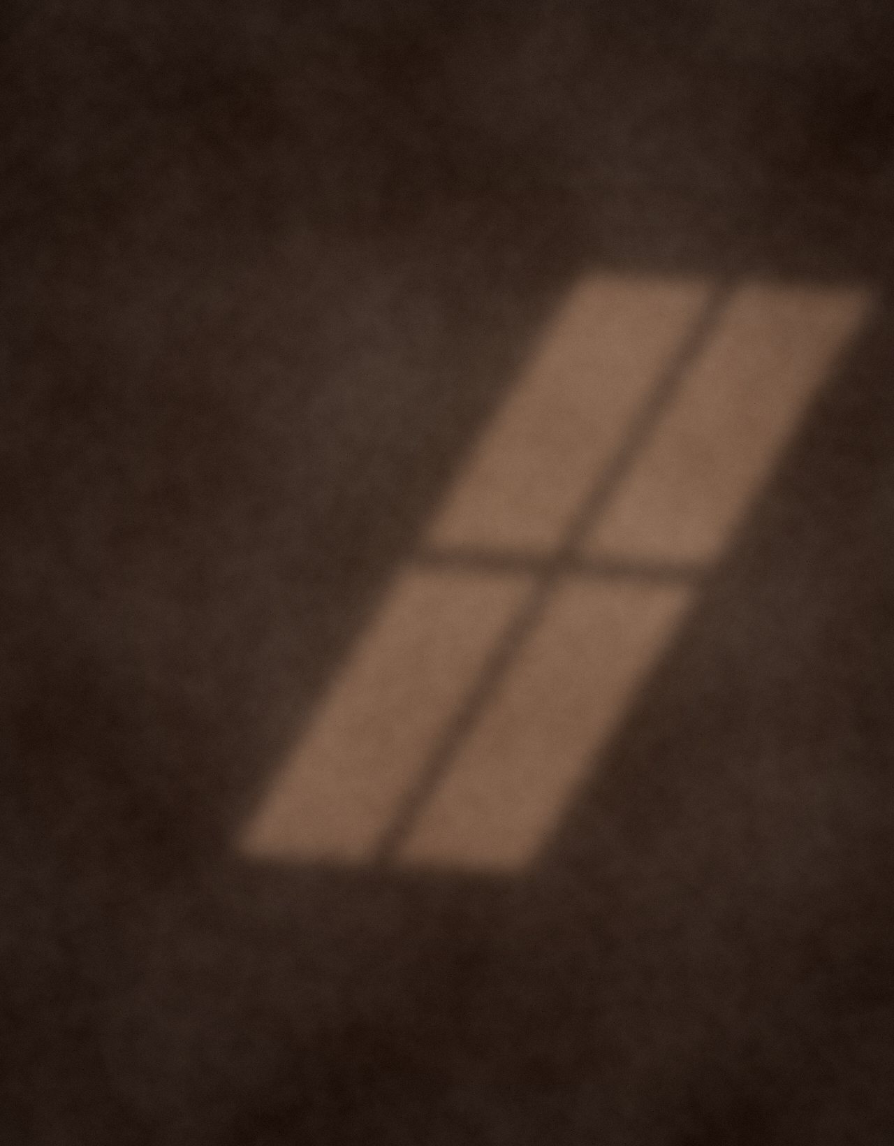 Late light through a window on a warm umber plaster wall